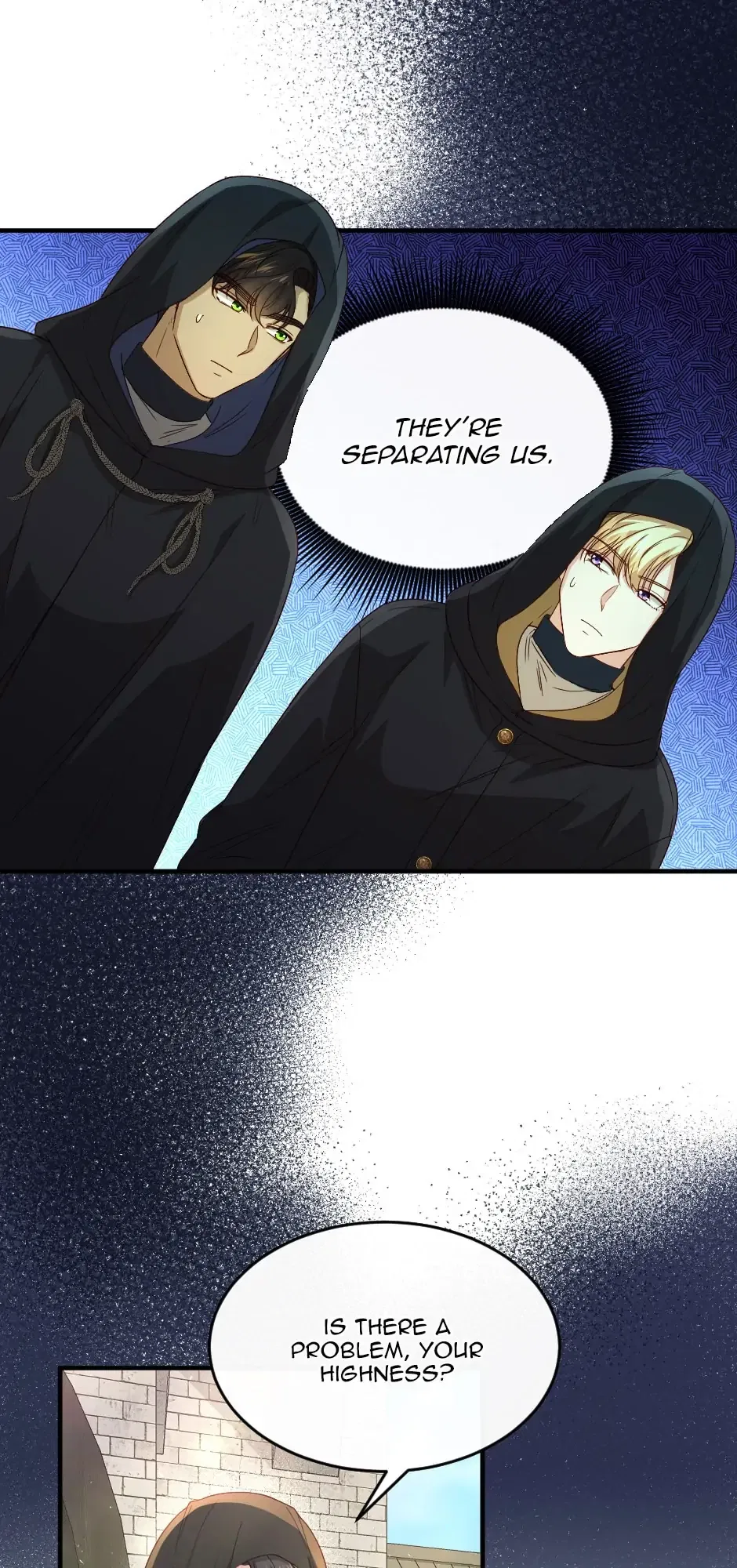 The Prince’s Personal Physician Chapter 47 – Page 19