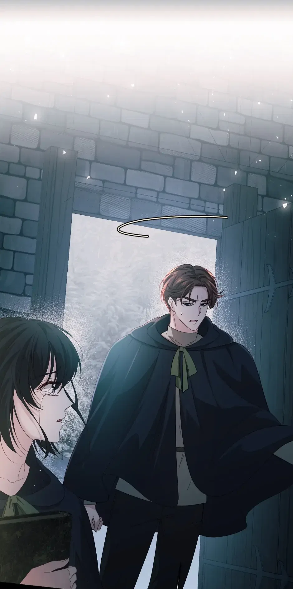 The Prince’s Personal Physician Chapter 46 – Page 12