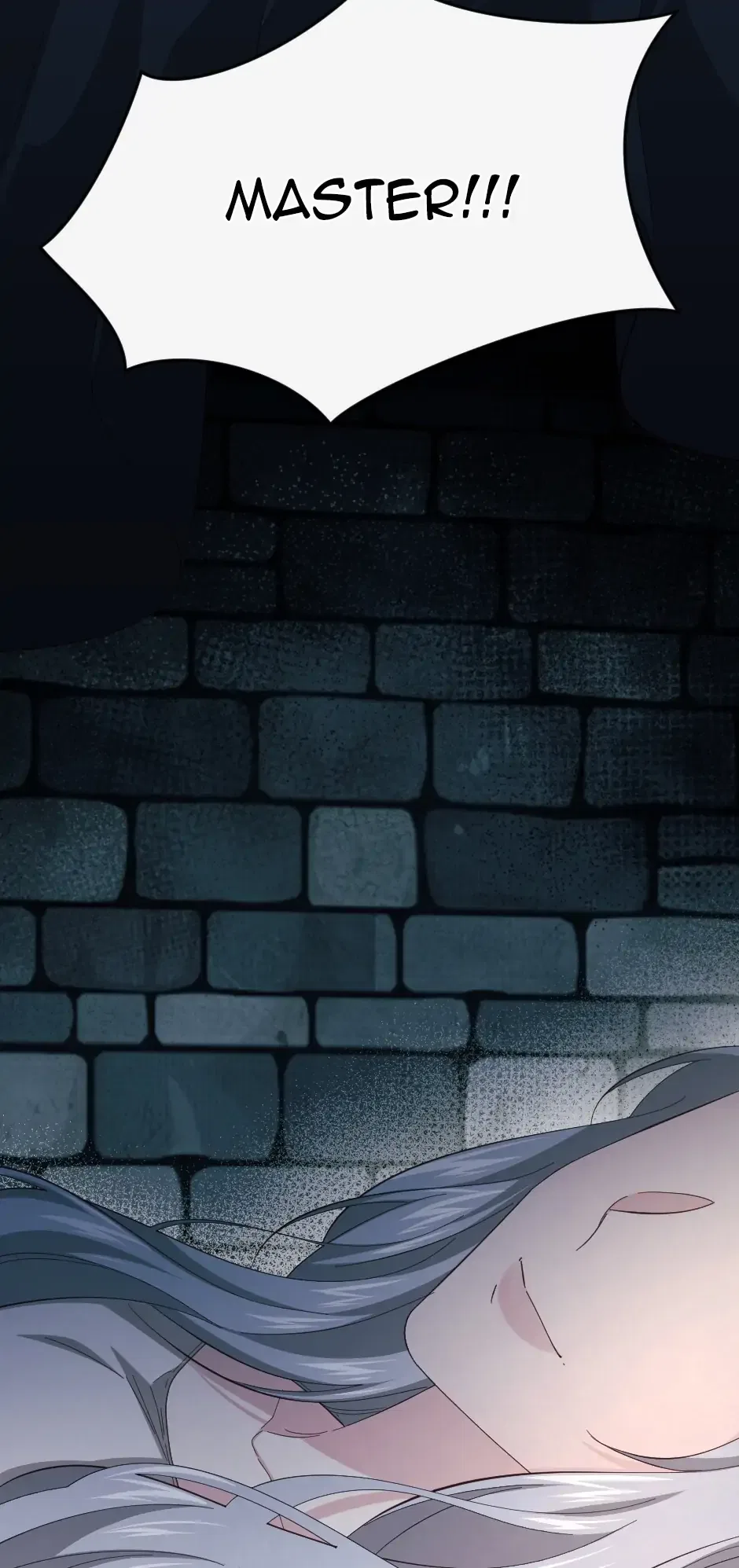 The Prince’s Personal Physician Chapter 46 – Page 19