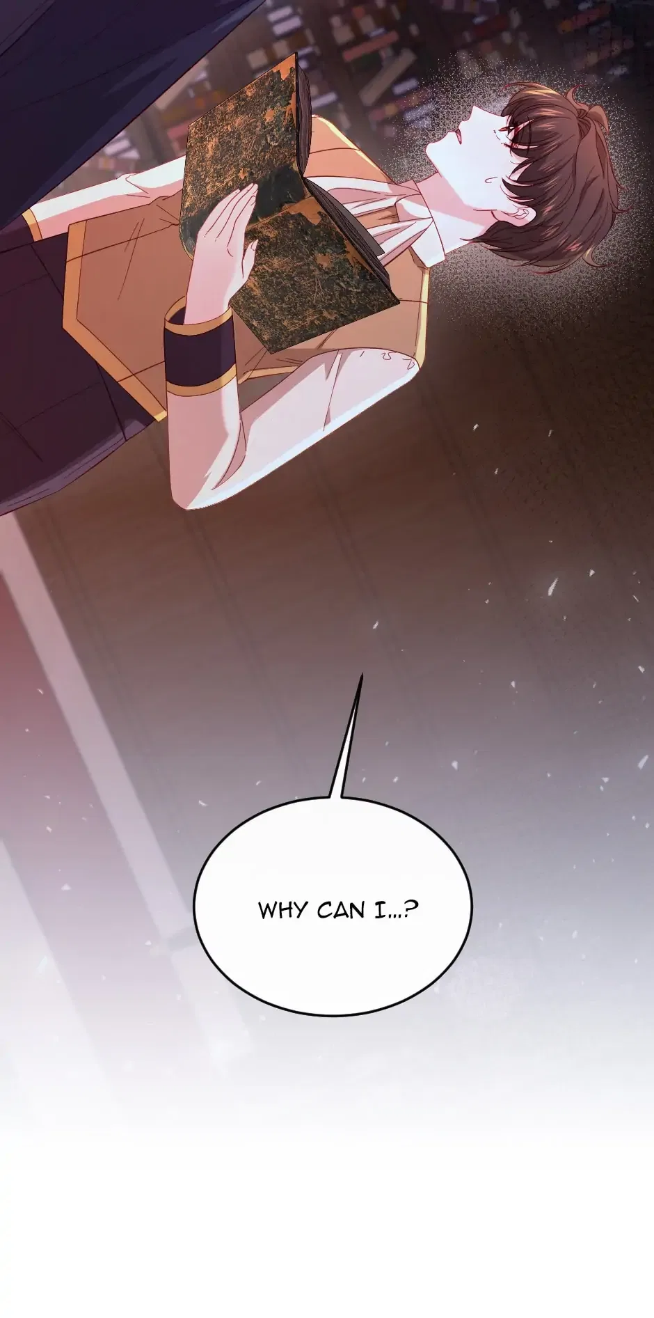The Prince’s Personal Physician Chapter 45 – Page 68