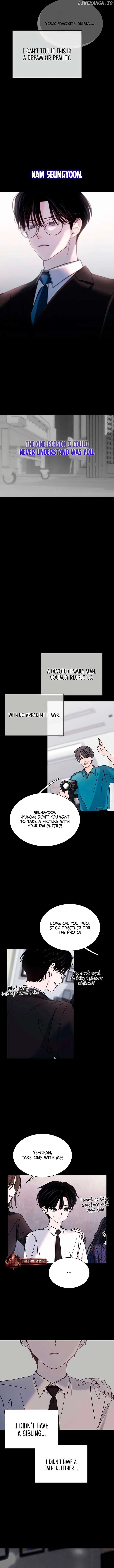 KISSING YOU BEFORE GOING TO BED Chapter 49 – Page 7