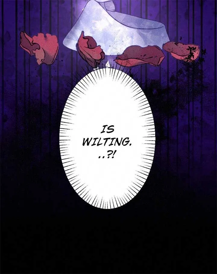 The Abandoned Saintess’s Vow: To Deny the Prince’s Love in Her Next Life Chapter 29 – Page 84