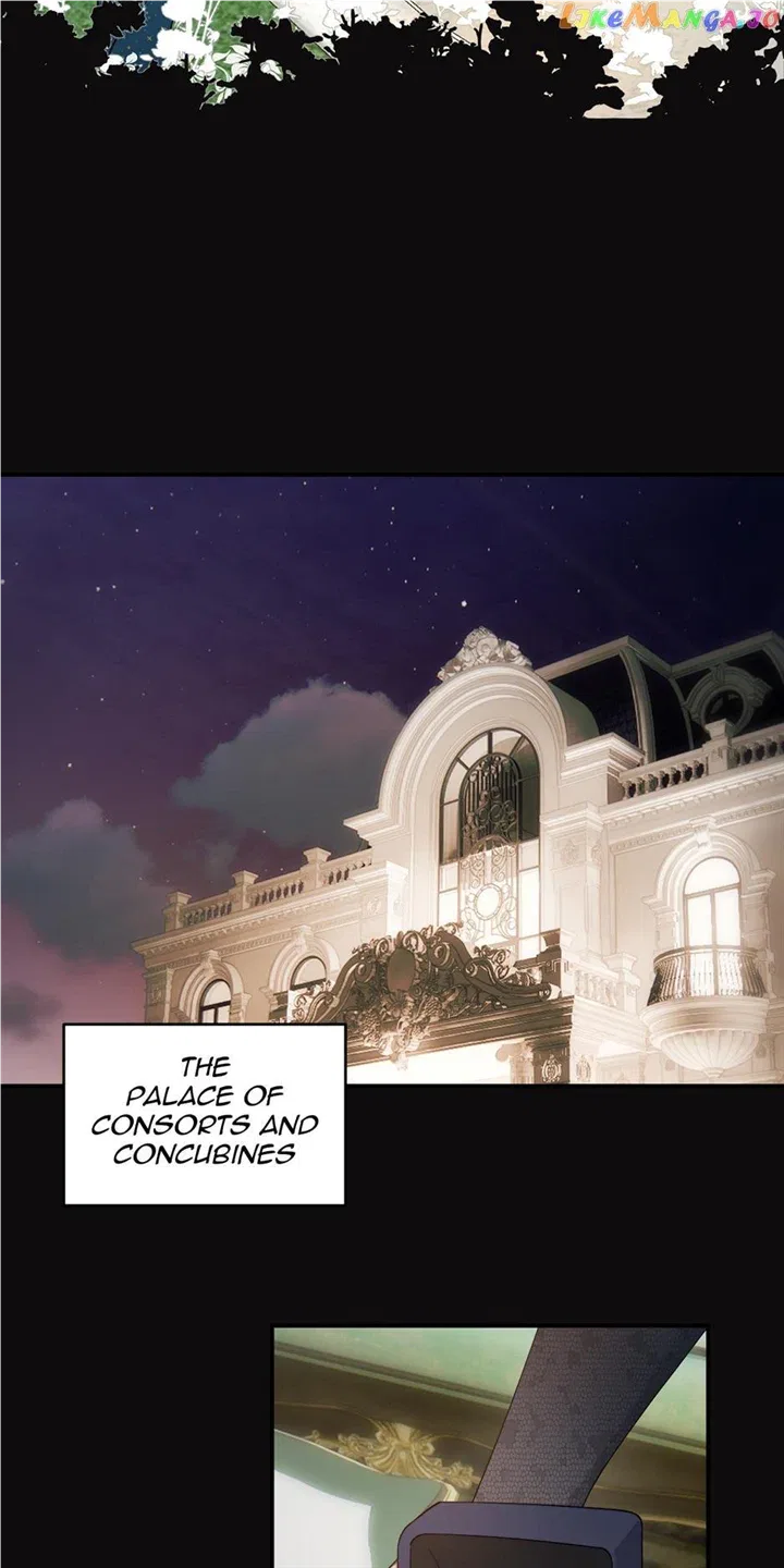 A Princess’s Guide to Saving Dragons Chapter 92 – Page 2