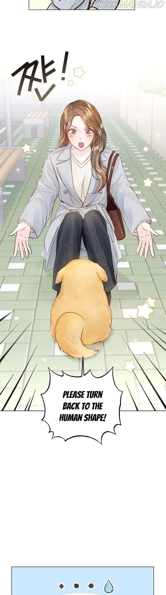 Surely a Happy Ending Chapter 79 – Page 4