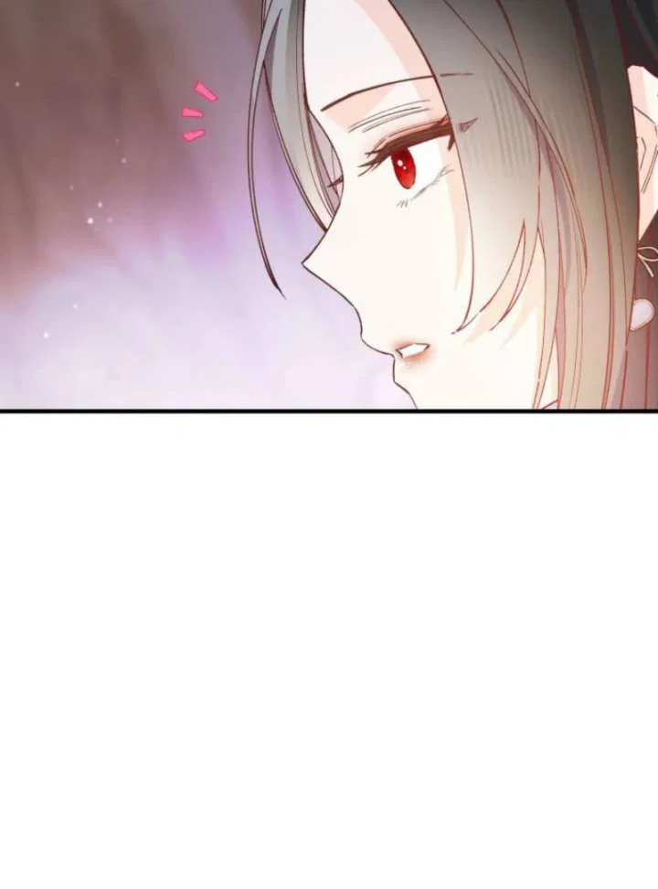 I Will Not be Overshadowed by my Twin Sister in This Life Chapter 25 – Page 117