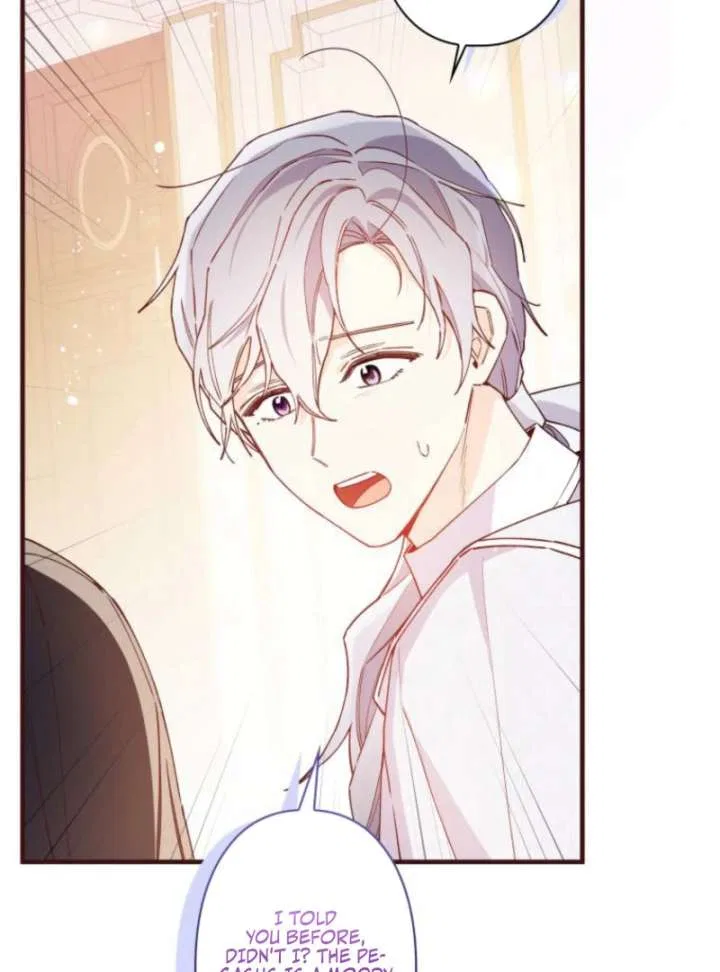 I Will Not be Overshadowed by my Twin Sister in This Life Chapter 24 – Page 19