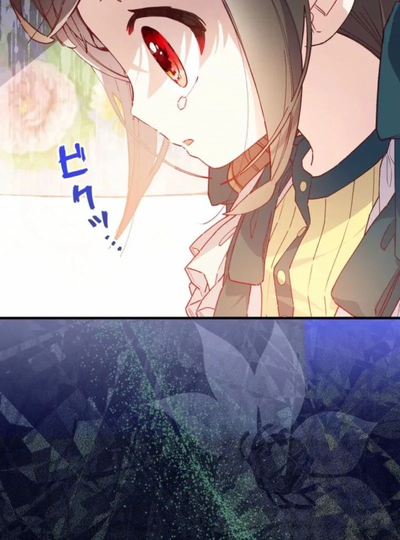 I Will Not be Overshadowed by my Twin Sister in This Life Chapter 13 – Page 64