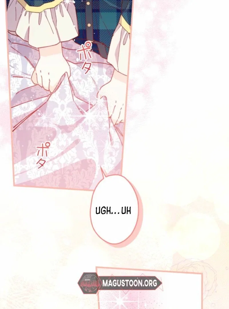 I Will Not be Overshadowed by my Twin Sister in This Life Chapter 13 – Page 67