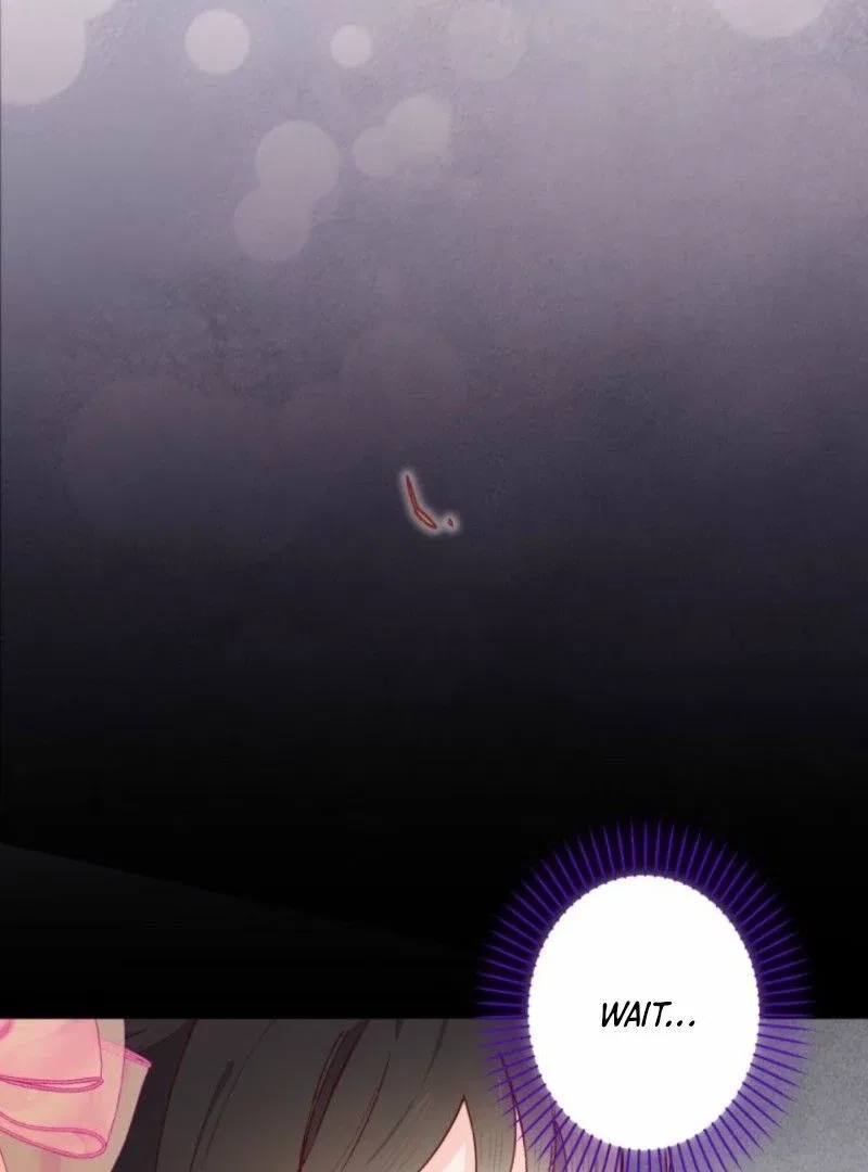 I Will Not be Overshadowed by my Twin Sister in This Life Chapter 13 – Page 102
