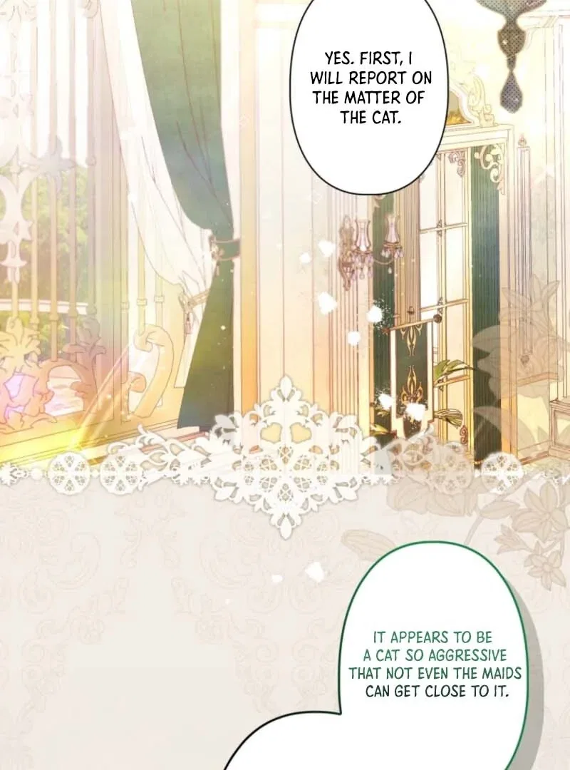 I Will Not be Overshadowed by my Twin Sister in This Life Chapter 7 – Page 30