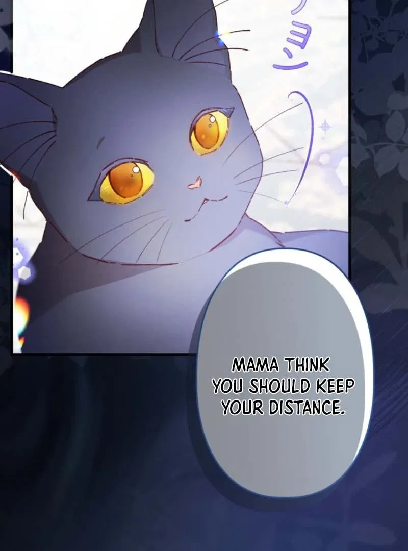 I Will Not be Overshadowed by my Twin Sister in This Life Chapter 7 – Page 68