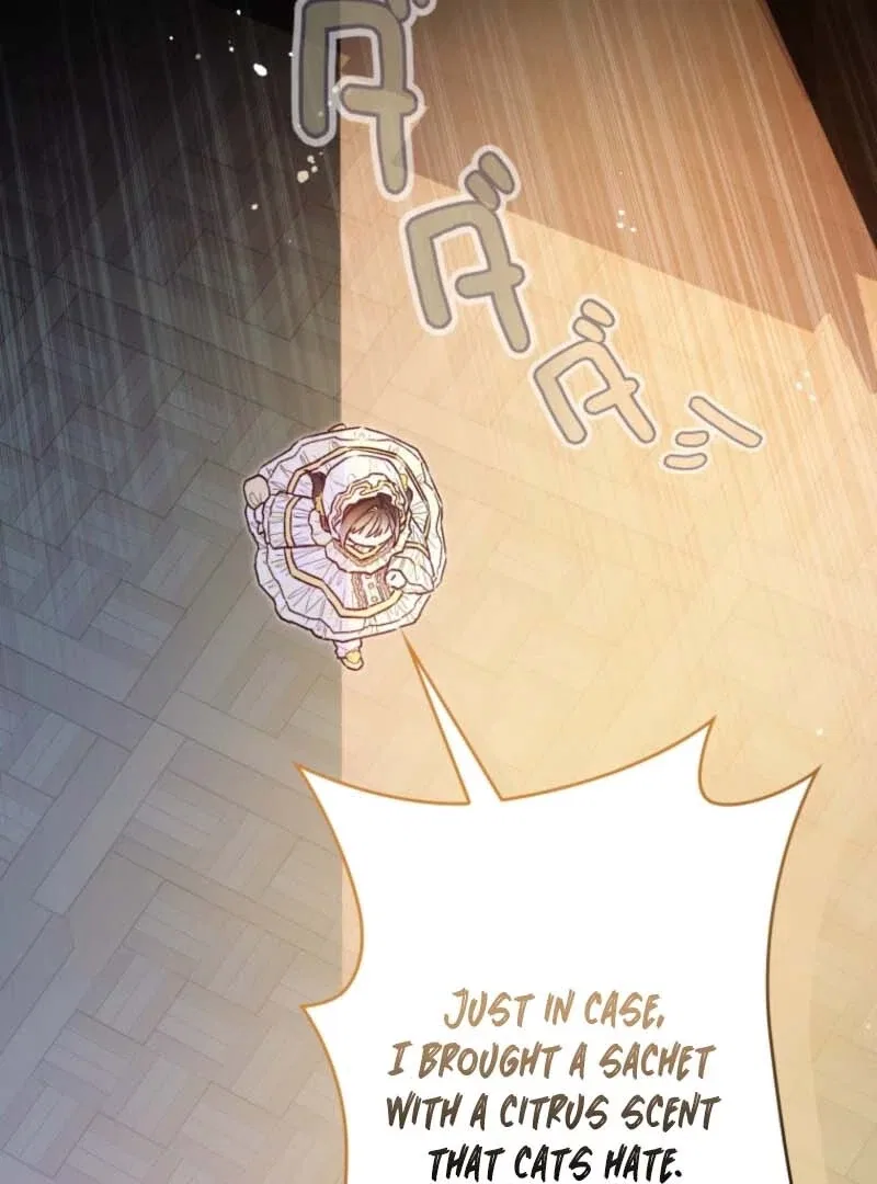 I Will Not be Overshadowed by my Twin Sister in This Life Chapter 7 – Page 113