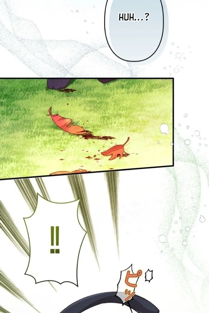 I Will Not be Overshadowed by my Twin Sister in This Life Chapter 5 – Page 116