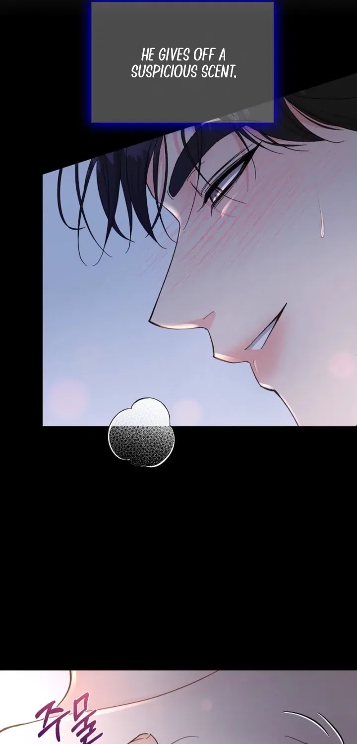 Affordable Romance Chapter 1 – Page 11
