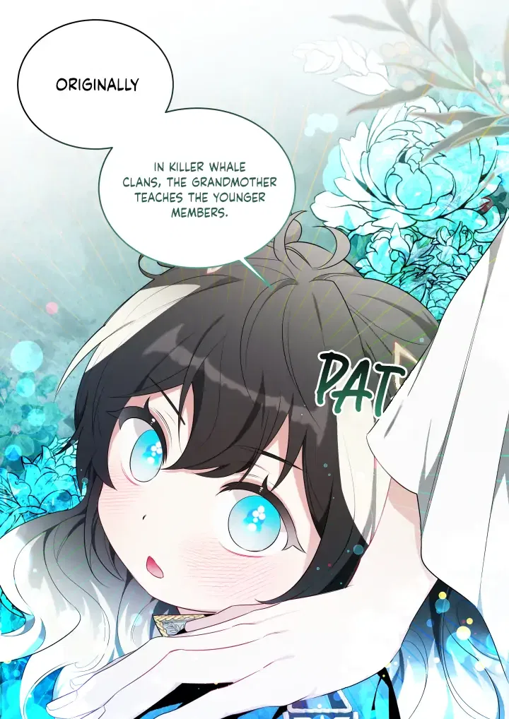 Black Killer Whale Baby Chapter 0 – Page 27