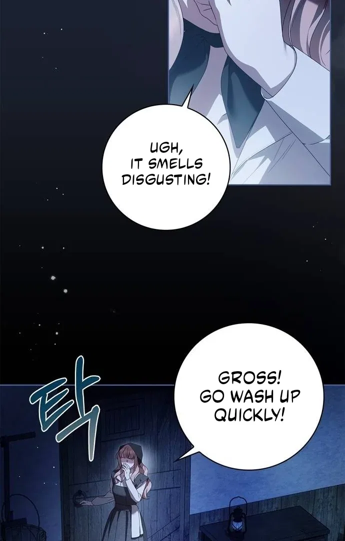 The Count’s Secret Maid Chapter 50 – Page 25