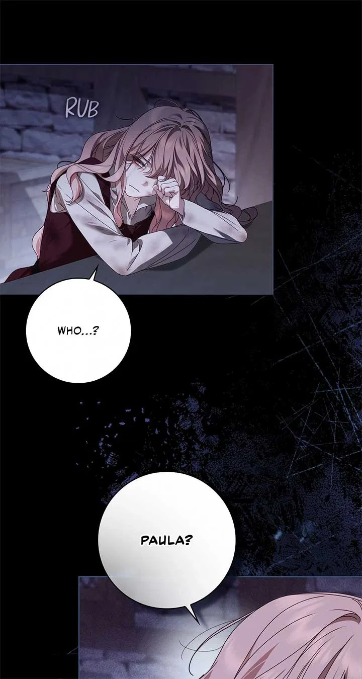 The Count’s Secret Maid Chapter 49 – Page 81