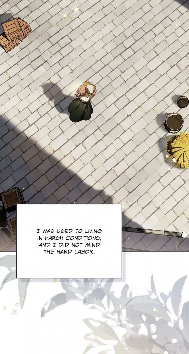The Count’s Secret Maid Chapter 49 – Page 102