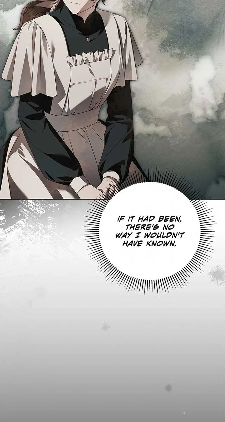 The Count’s Secret Maid Chapter 46 – Page 17