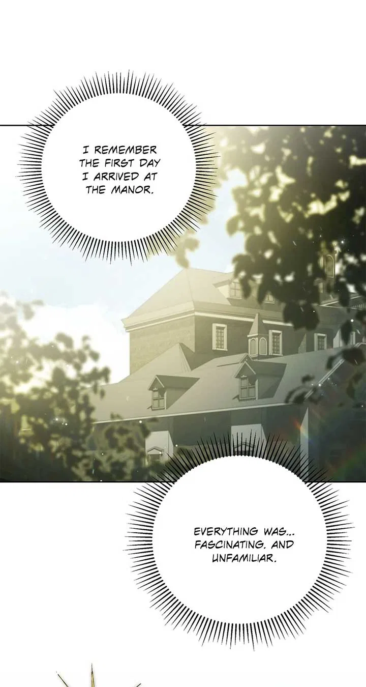 The Count’s Secret Maid Chapter 46 – Page 49