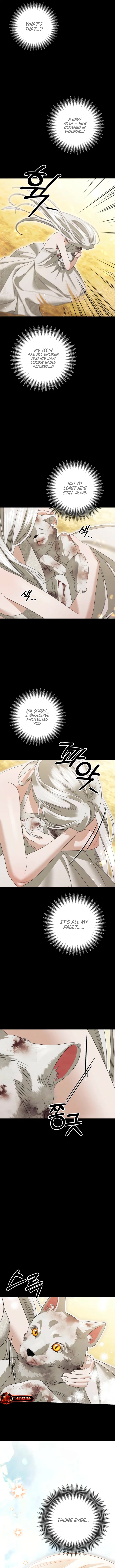 Predatory Marriage Chapter 95 – Page 11