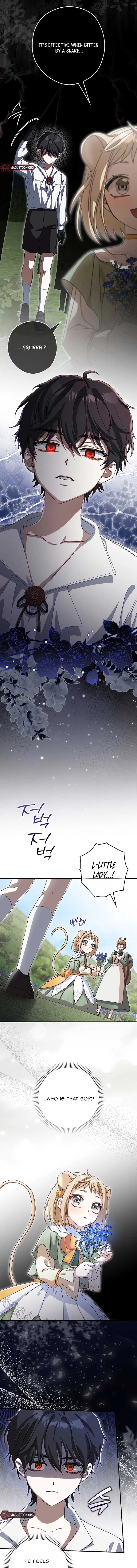 This Wild Mouse Has Taken Cinderella Chapter 13 – Page 11