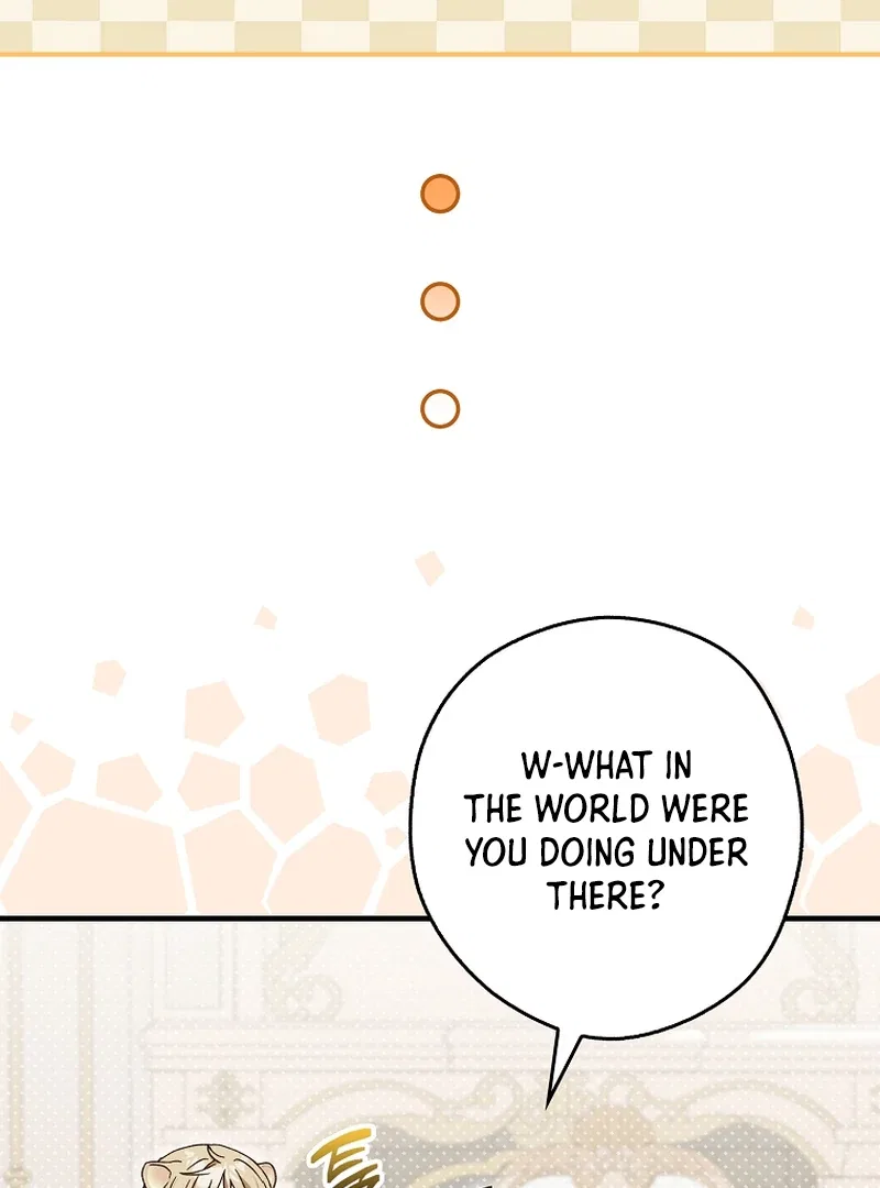 This Wild Mouse Has Taken Cinderella Chapter 9 – Page 17