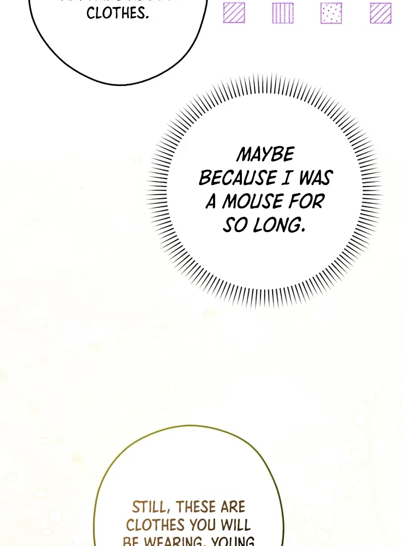 This Wild Mouse Has Taken Cinderella Chapter 9 – Page 26