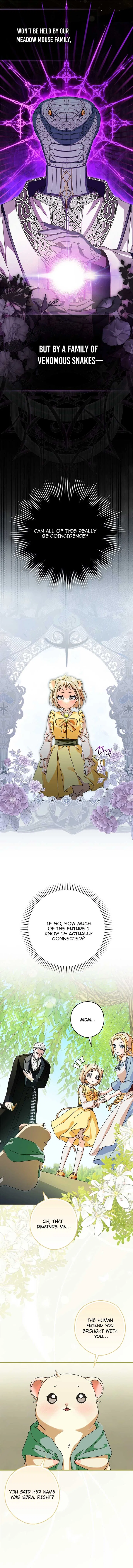 This Wild Mouse Has Taken Cinderella Chapter 7 – Page 6