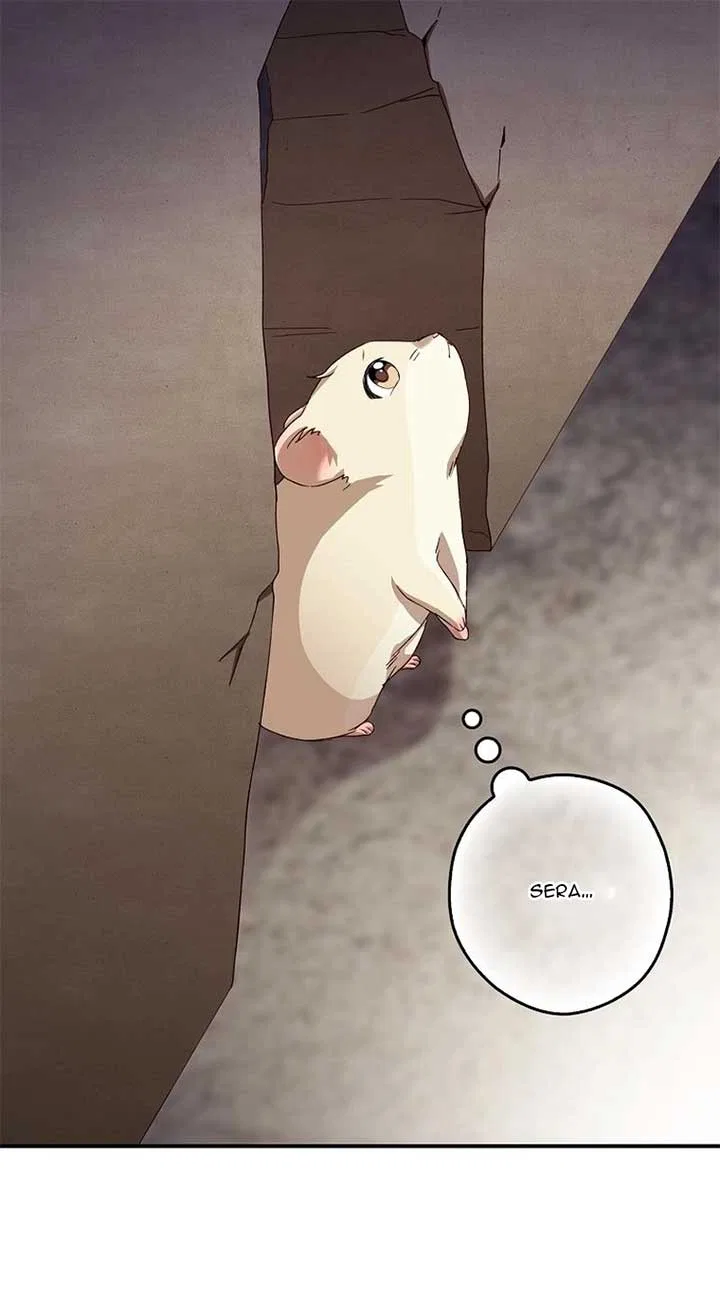This Wild Mouse Has Taken Cinderella Chapter 4 – Page 43