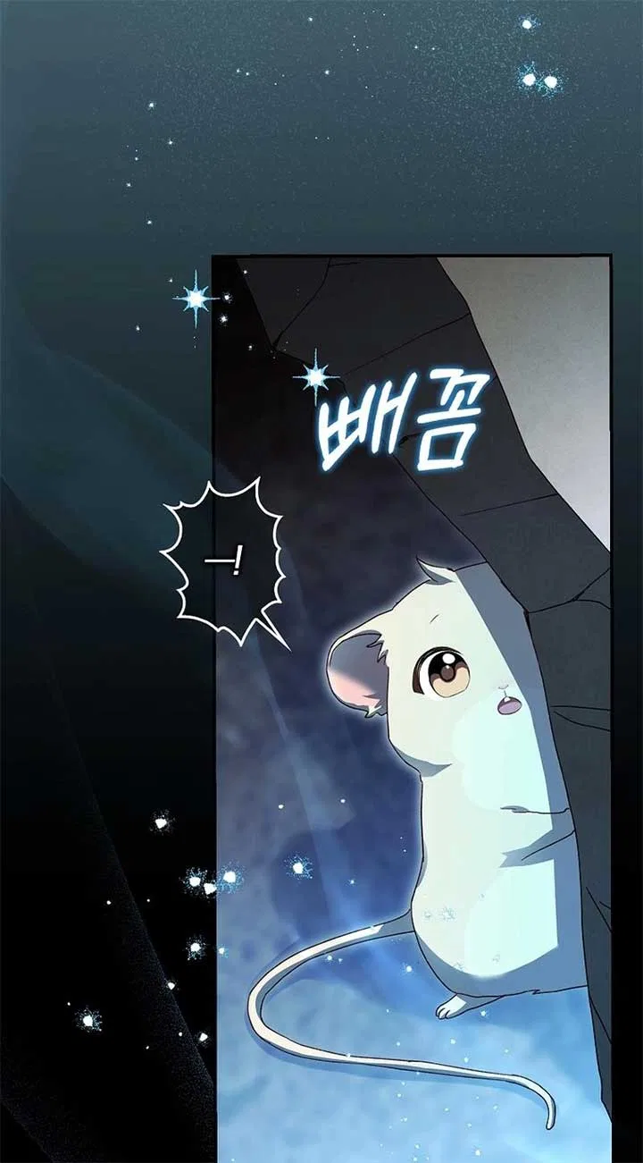 This Wild Mouse Has Taken Cinderella Chapter 4 – Page 49