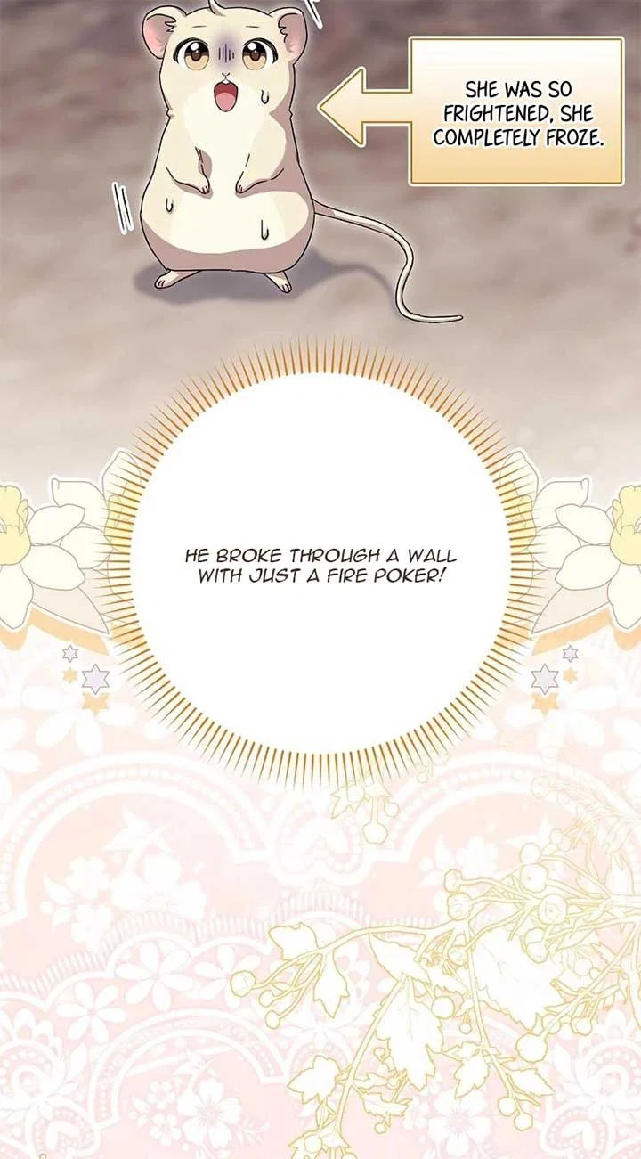 This Wild Mouse Has Taken Cinderella Chapter 4 – Page 73