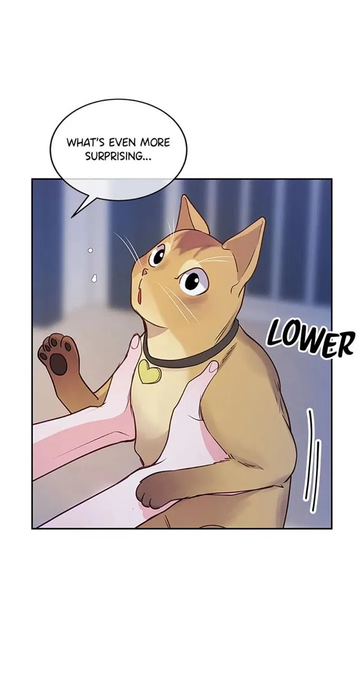 A Suspicious Confession Chapter 23 – Page 36