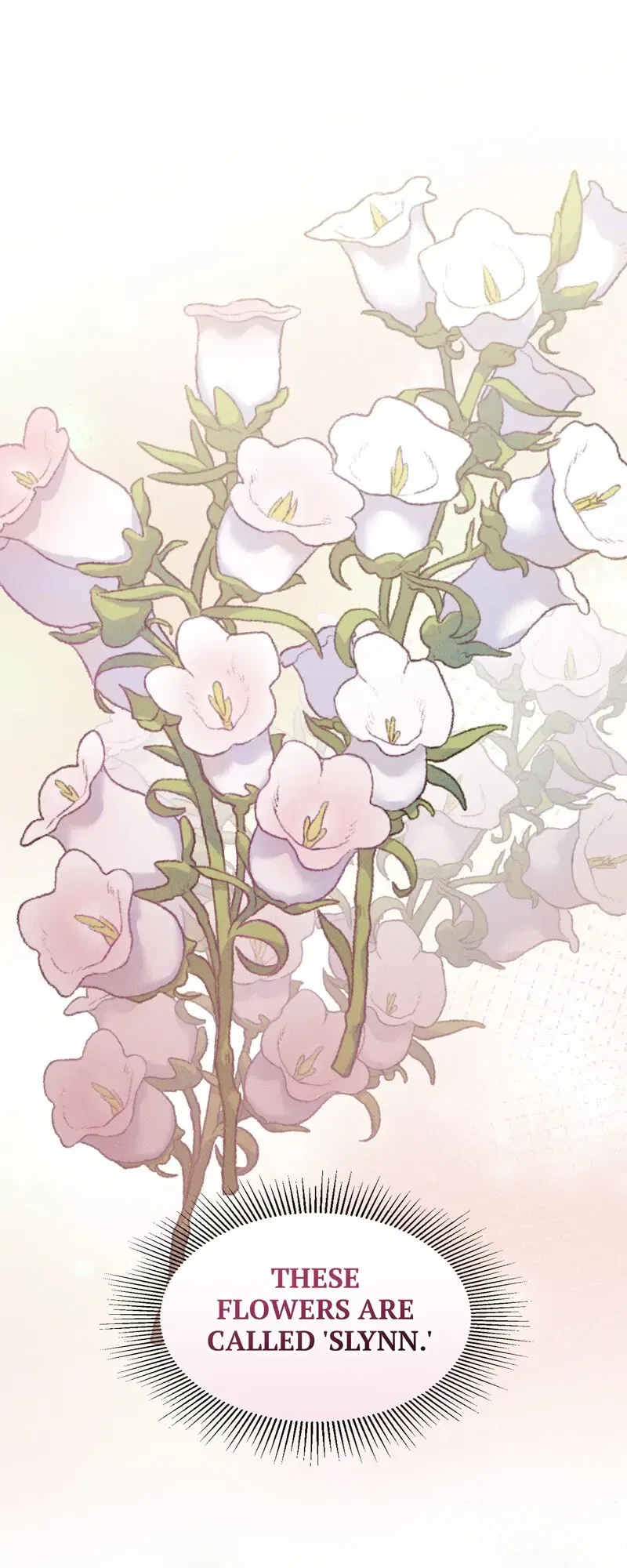 Carnephelia’s Curse is Never Ending Chapter 73 – Page 15