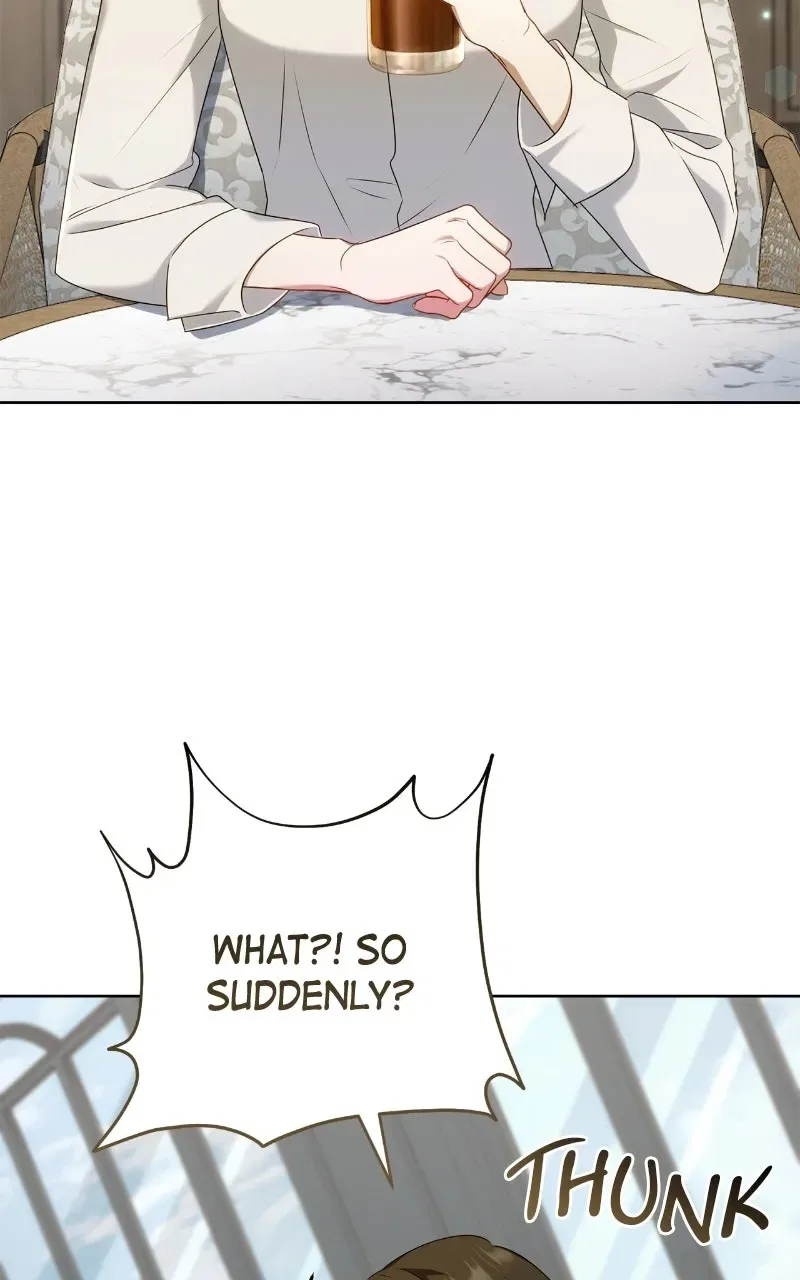 My Husband Was Stolen Twice Chapter 1 – Page 3