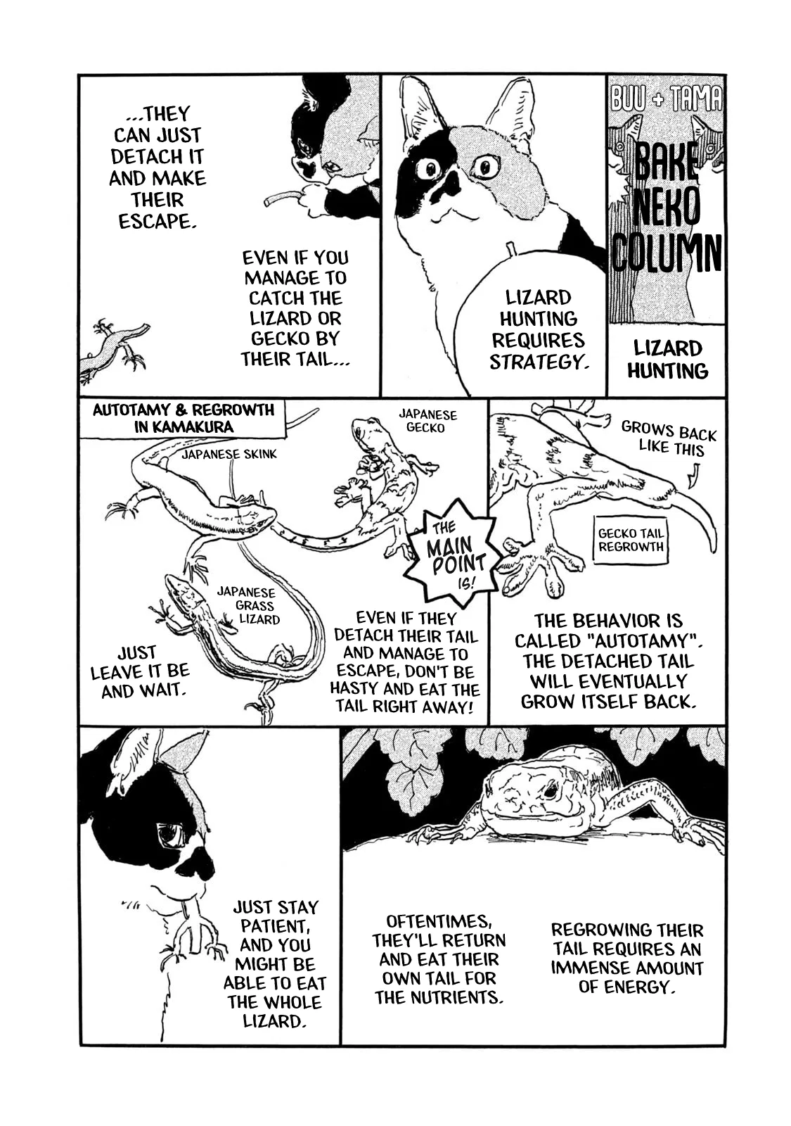 Kamakura Bakeneko Club Chapter 20.5 – Page 1