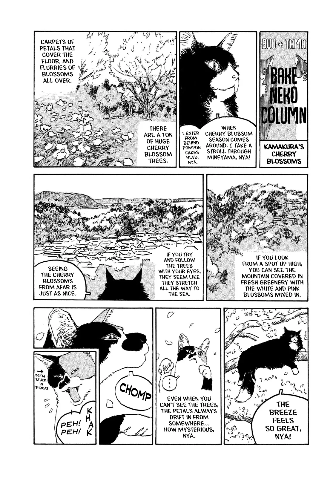 Kamakura Bakeneko Club Chapter 13.5 – Page 1