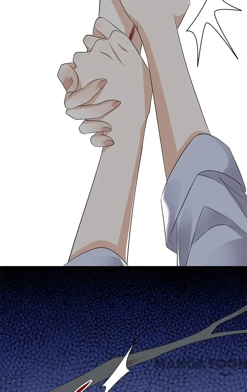 Pampered Mr. Lu’s Wife And Fateful Meeting Chapter 150 – Page 5