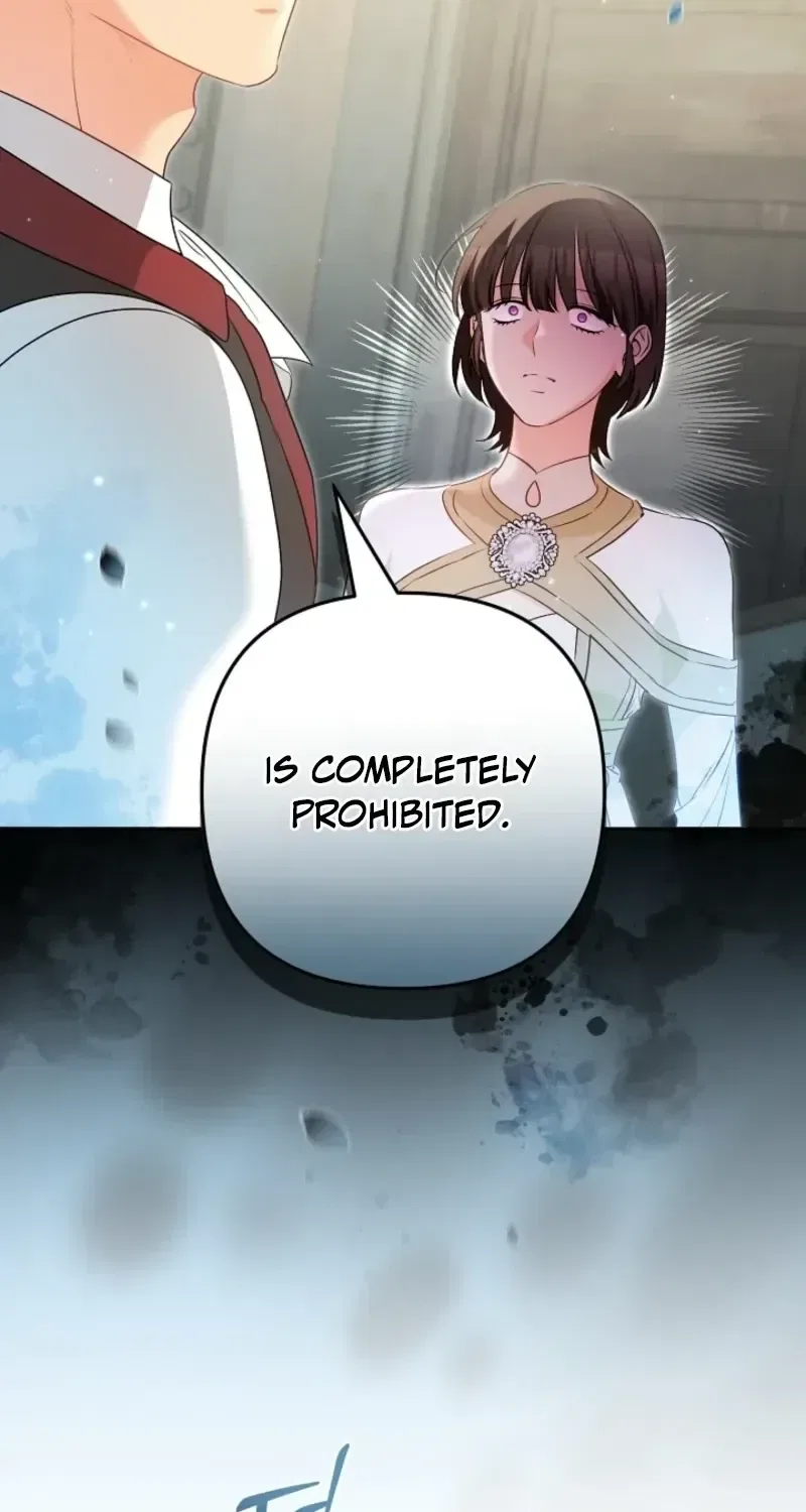 Stop Obsessing, Just Divorce Me! Chapter 62 – Page 27