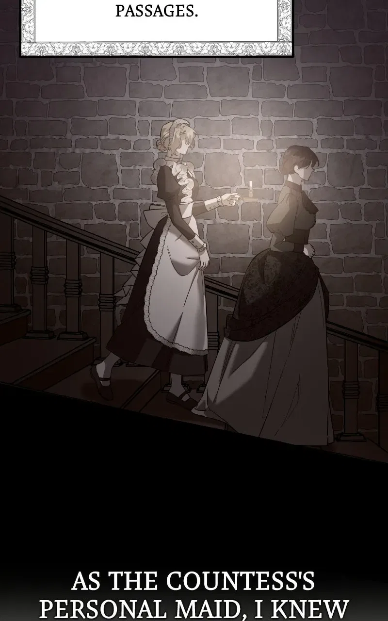 A Revenge Guide for the Terminally Ill Maid Chapter 13 – Page 4