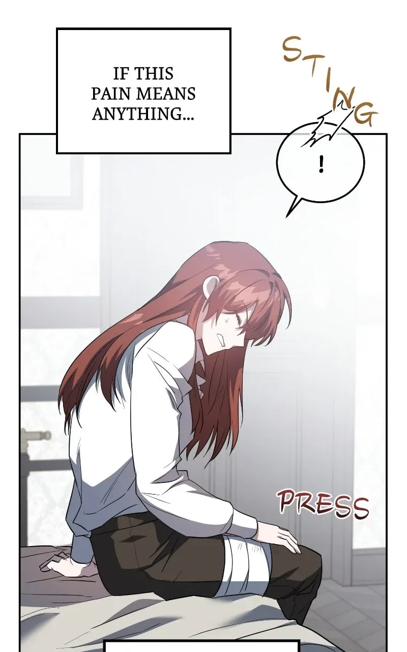 A Revenge Guide for the Terminally Ill Maid Chapter 1 – Page 104