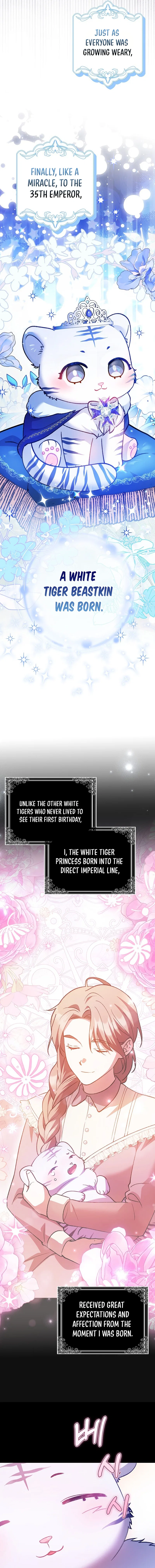 The White Tiger Princess is Not in Danger Chapter 1 – Page 9
