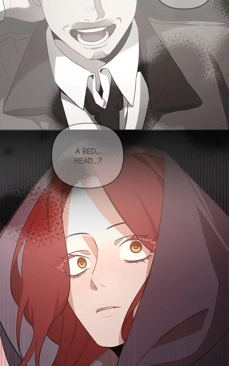 Where the Golden Rose Was Plucked Chapter 47 – Page 13