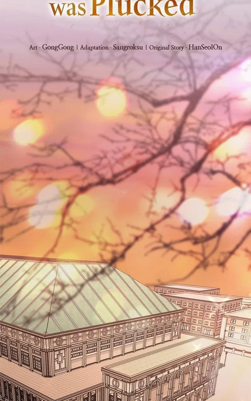 Where the Golden Rose Was Plucked Chapter 47 – Page 32