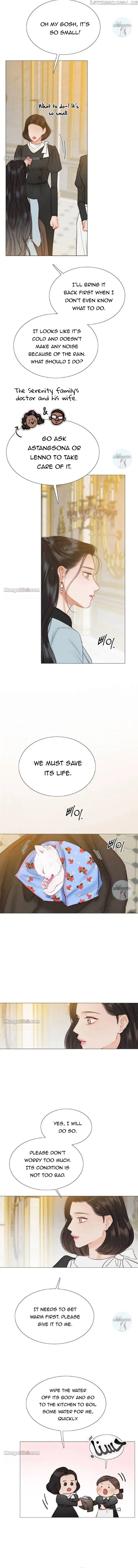 Serena Chapter 41 – Page 3