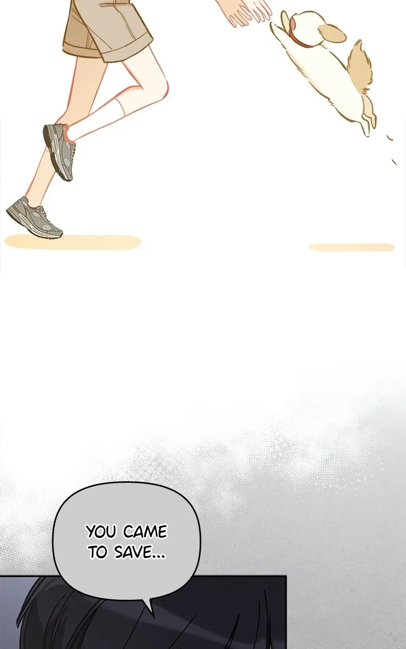 Woke Up as the CEO’s Dog Chapter 54 – Page 41