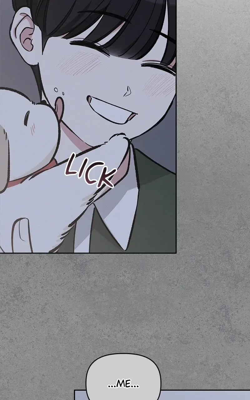 Woke Up as the CEO’s Dog Chapter 54 – Page 42