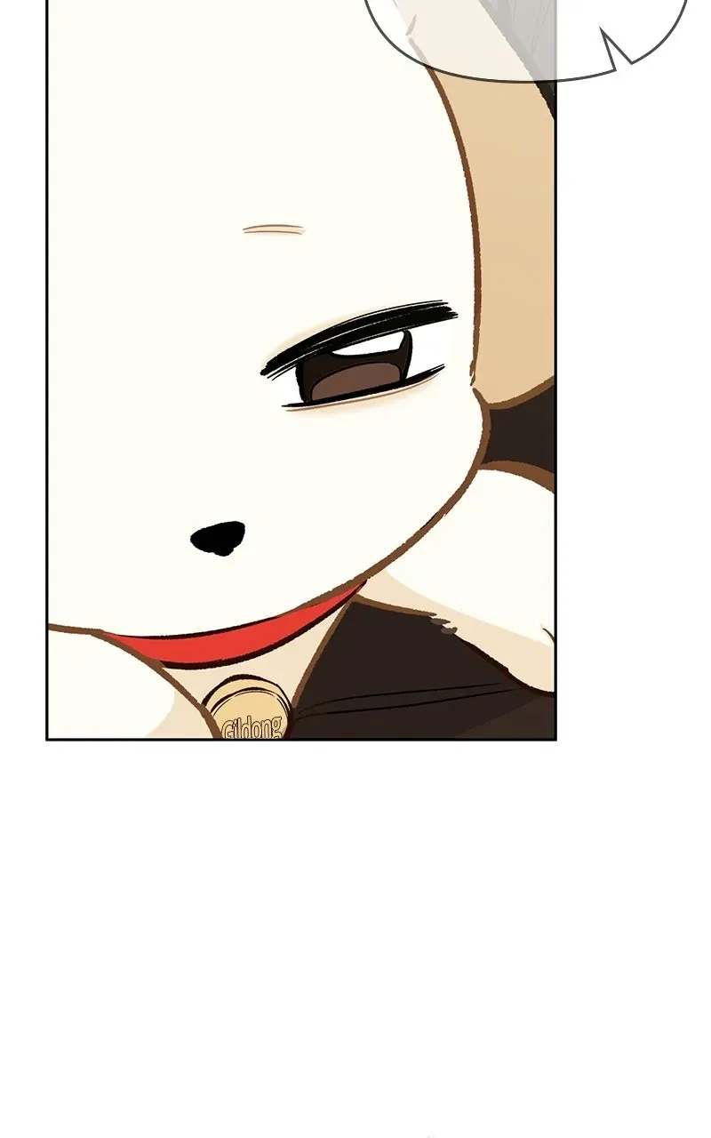 Woke Up as the CEO’s Dog Chapter 54 – Page 72