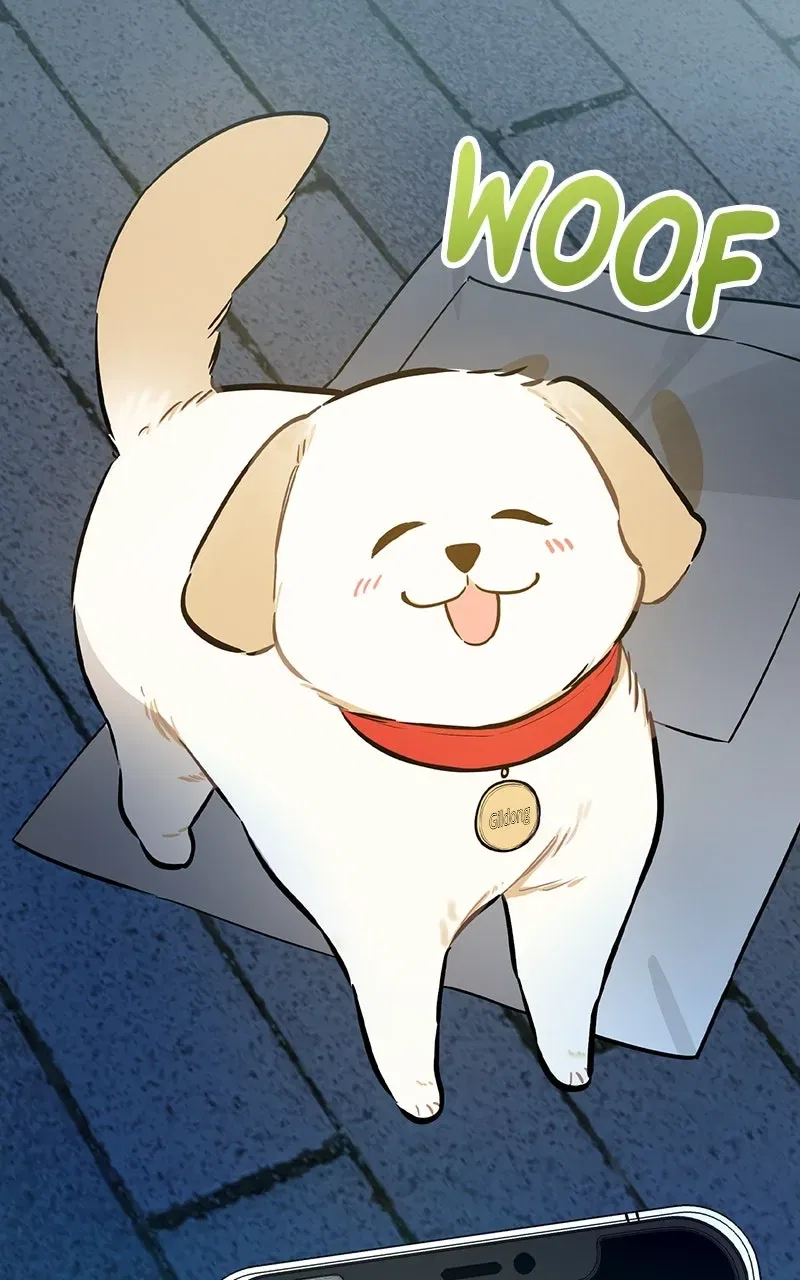 Woke Up as the CEO’s Dog Chapter 1 – Page 73