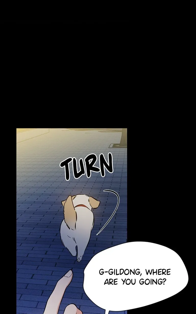 Woke Up as the CEO’s Dog Chapter 1 – Page 77